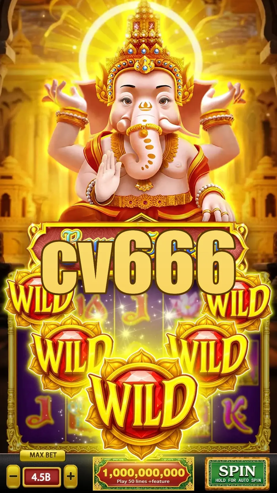 cv666 লগইন